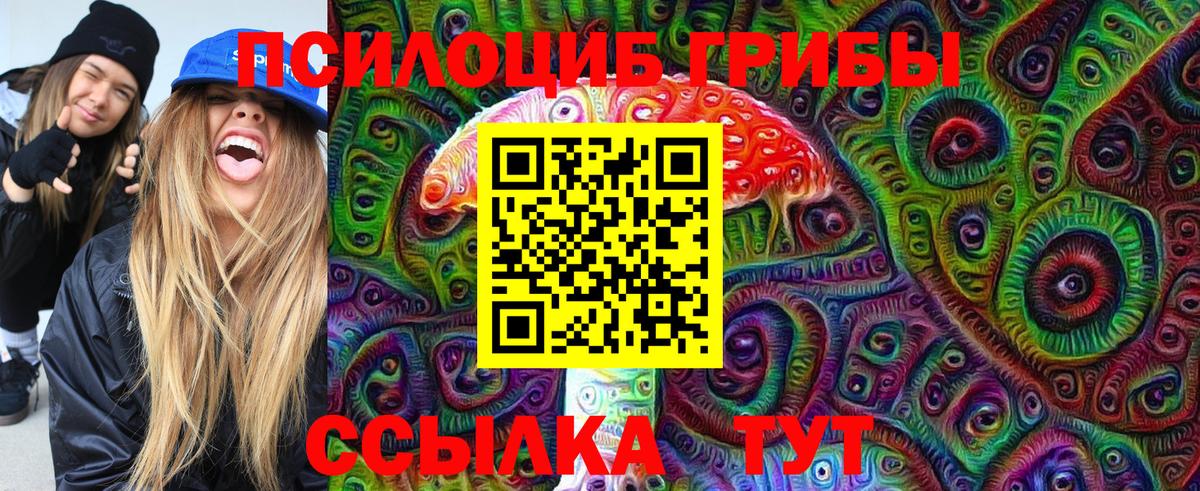 Галлюциногенные грибы мицелий Россия